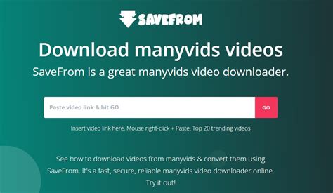 manyvids video downloader|Online Video Downloader